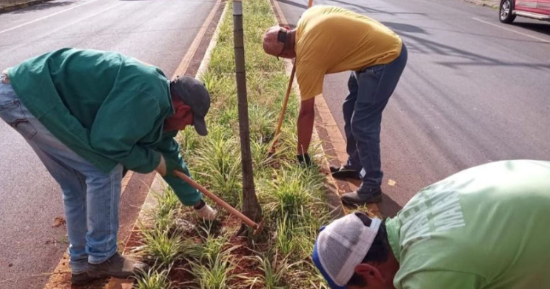 Prefeitura de Palmas realiza limpeza e roçada nas vias públicas