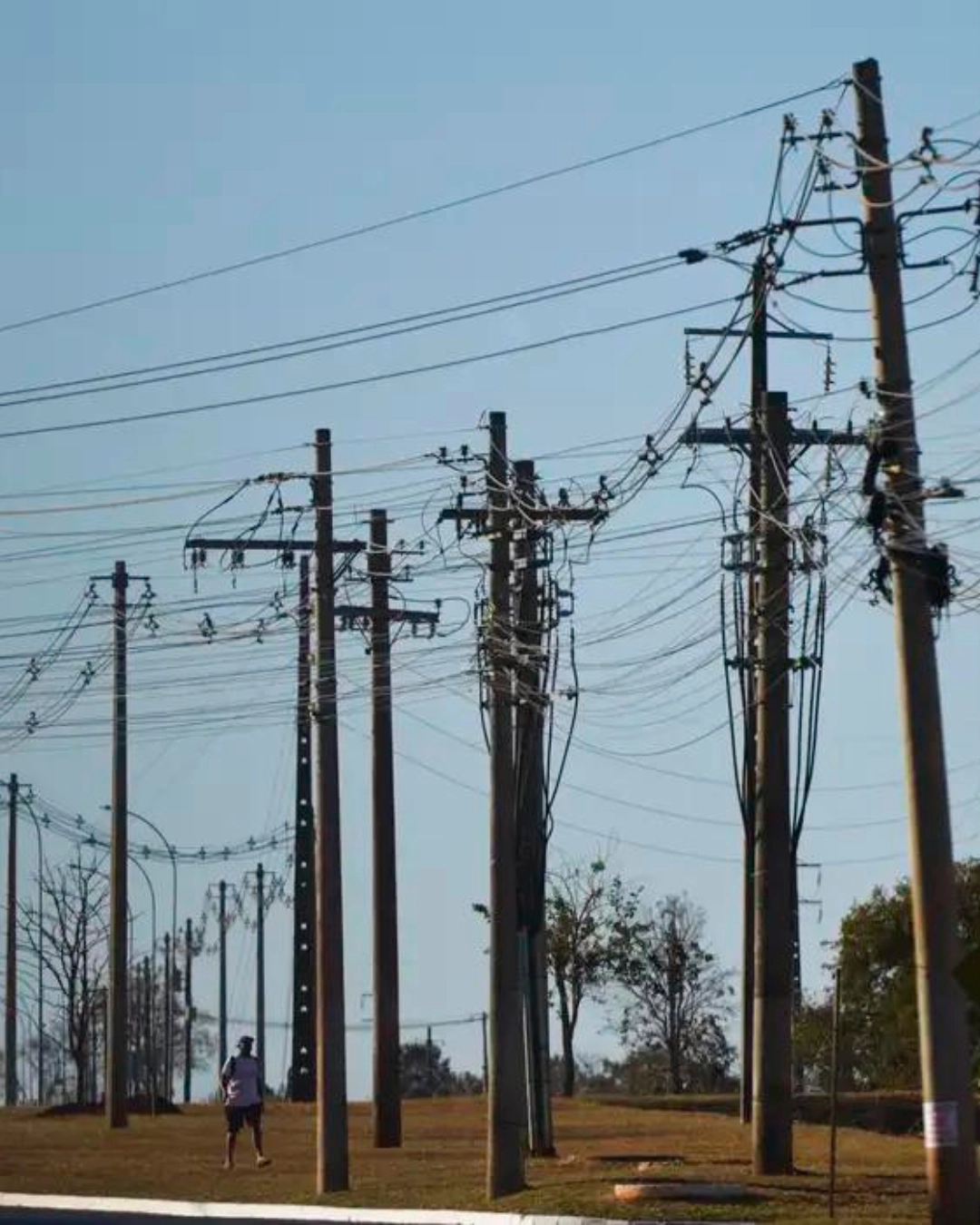 Acidentes fatais com a rede elétrica diminuem 8% em 2023, segundo Abradee