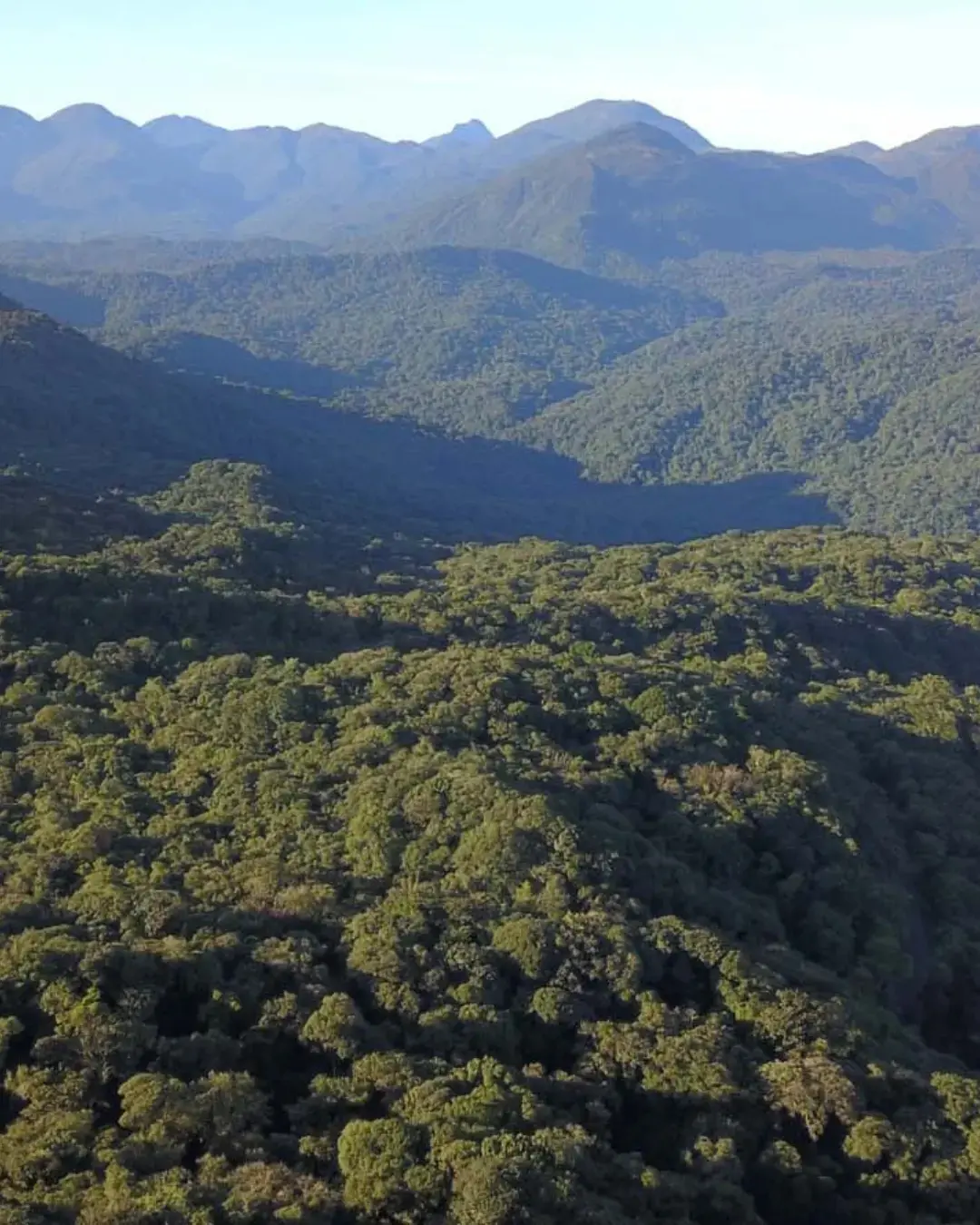 Paraná investe R$ 2,9 milhões em projetos de adaptação climática e turismo na Mata Atlântica