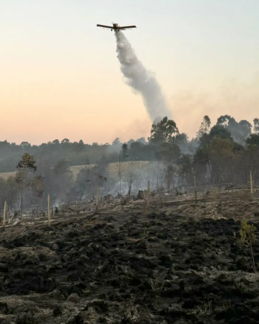 Queda de 57% nos incêndios florestais no Paraná aponta para melhorias no clima em outubro