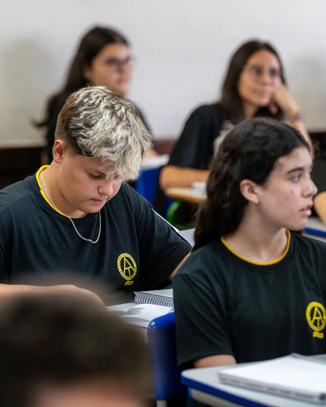 Seed-PR Inicia Rematrículas com Sistema Online Integrado para Estaduais e Municipais