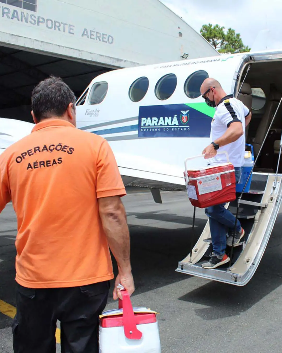 Paraná lidera transplantes de órgãos no Brasil e registra maior avanço em seis anos