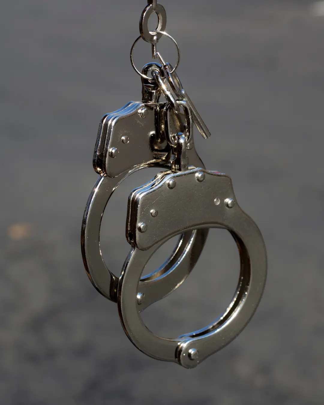 Homem é preso pela PCPR por desmatamento de Mata Atlântica em Curitiba